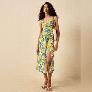 Lemon Print Midi Slip Dress – Spaghetti Strap, Backless, High Waist, Boho